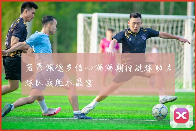 若昂佩德罗信心满满期待进球助力球队战胜水晶宫
