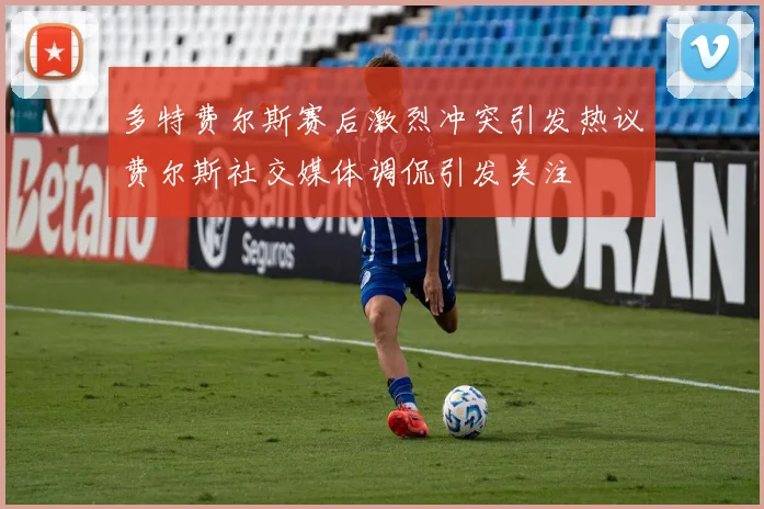 多特费尔斯赛后激烈冲突引发热议费尔斯社交媒体调侃引发关注