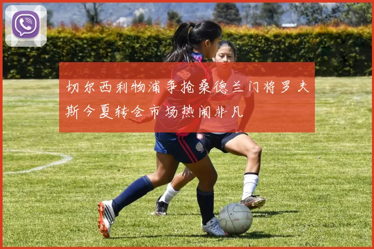 切尔西利物浦争抢桑德兰门将罗夫斯今夏转会市场热闹非凡